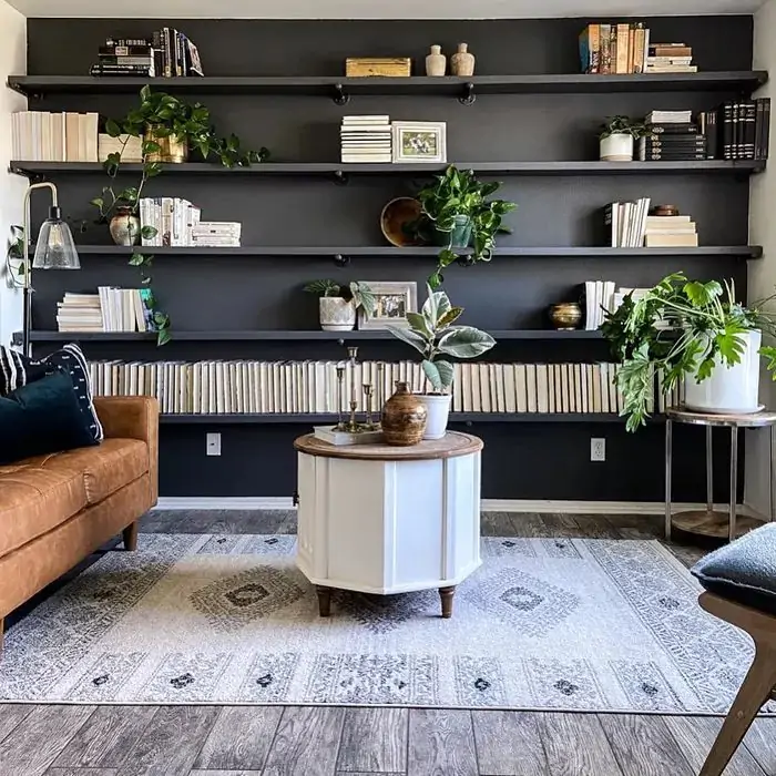 dark accent wall with booksheles for living room