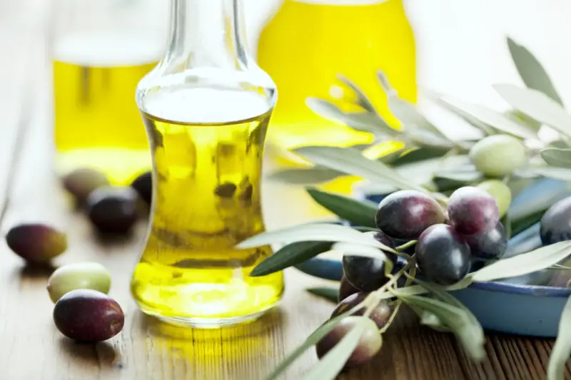 olive oil and plant