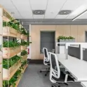 best plants for office with no windows