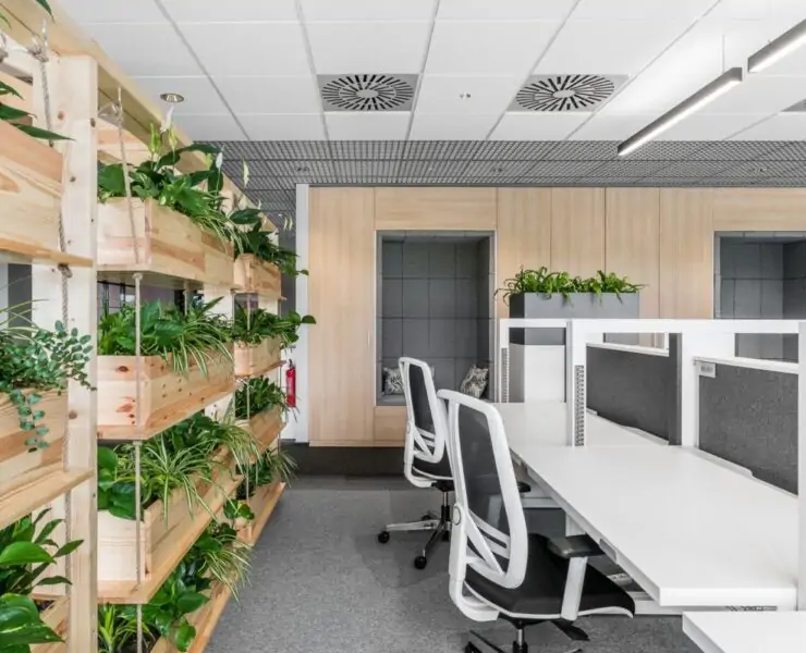 best plants for office with no windows
