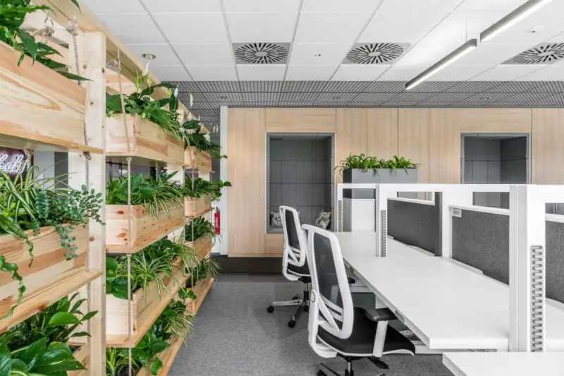 best plants for office with no windows