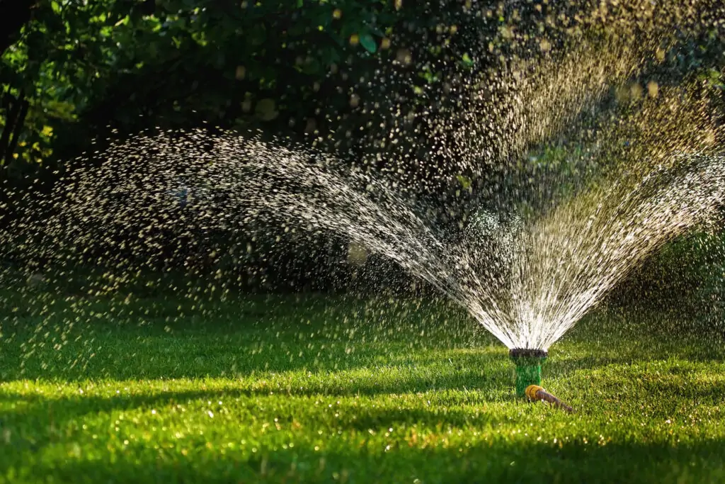 best watering time for lawns