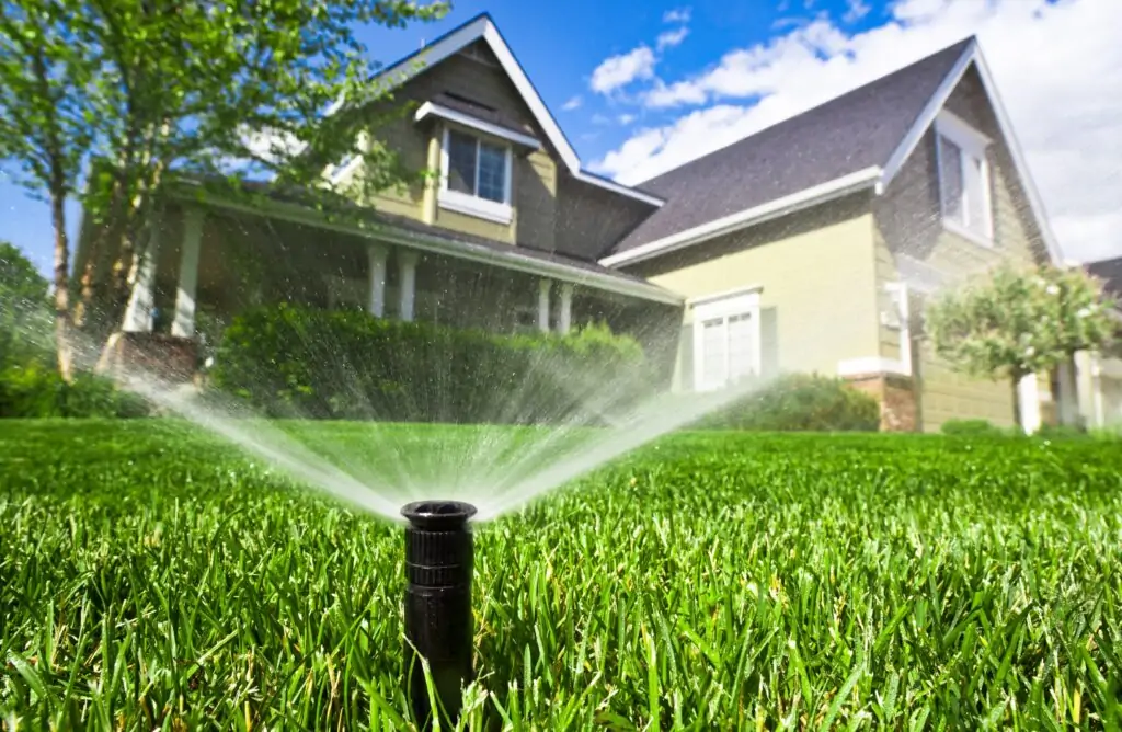 best watering schedule for grass