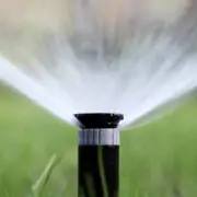 best watering times for grass