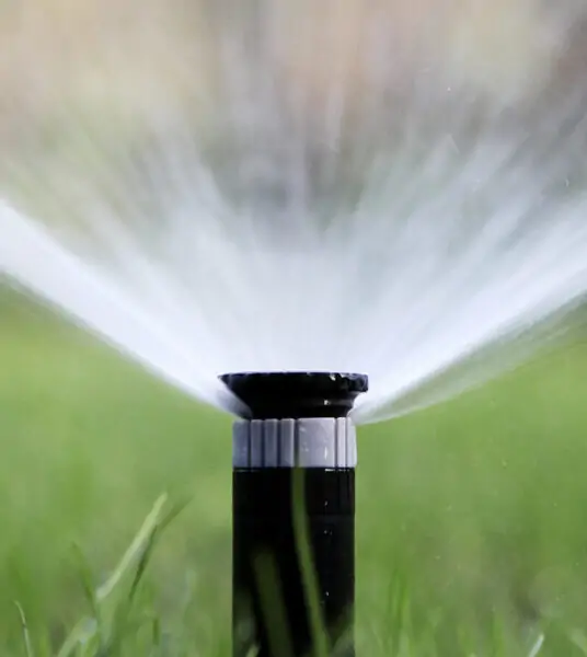 best watering times for grass