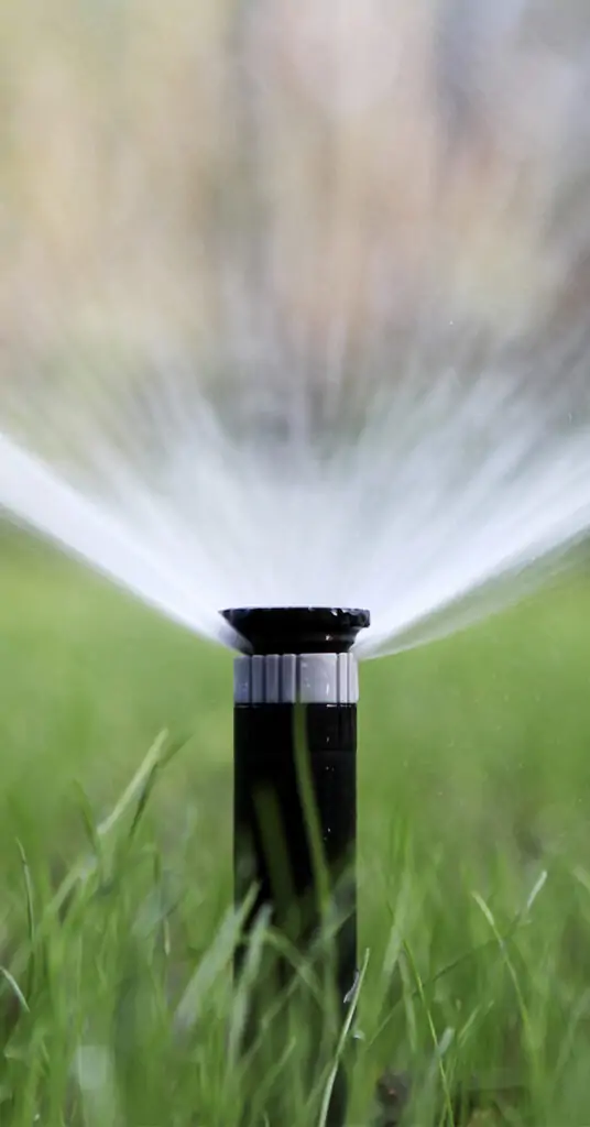 best watering times for grass