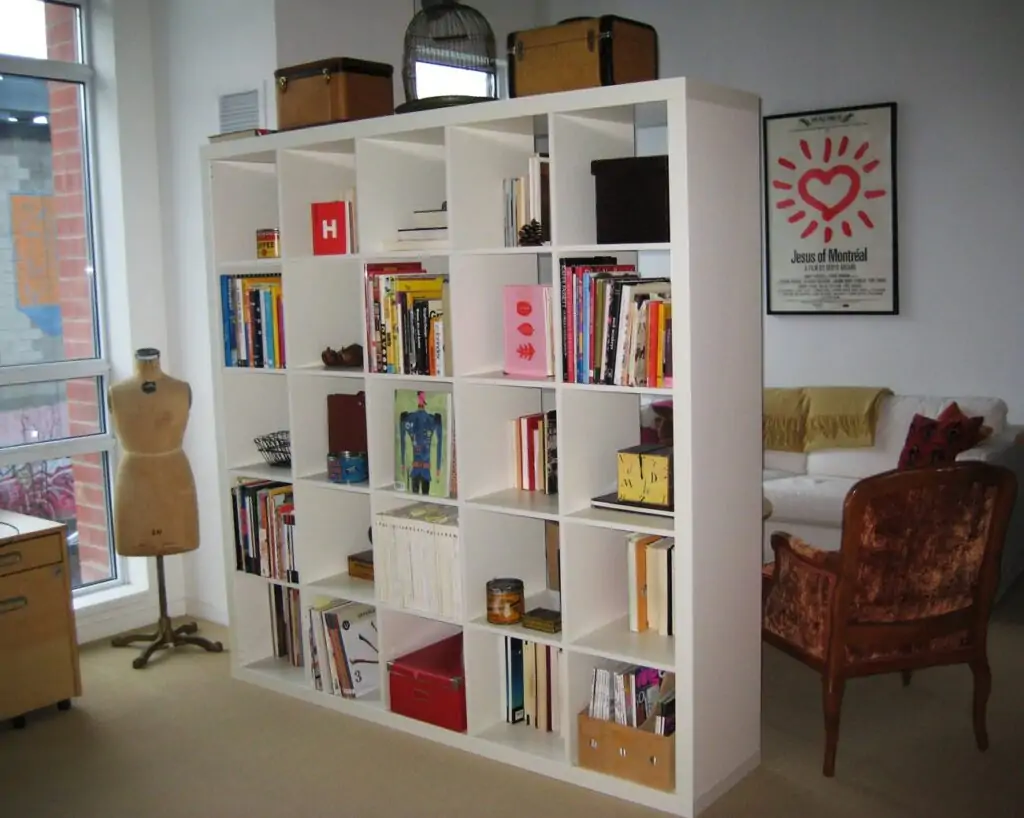 . bookshelves in room partition