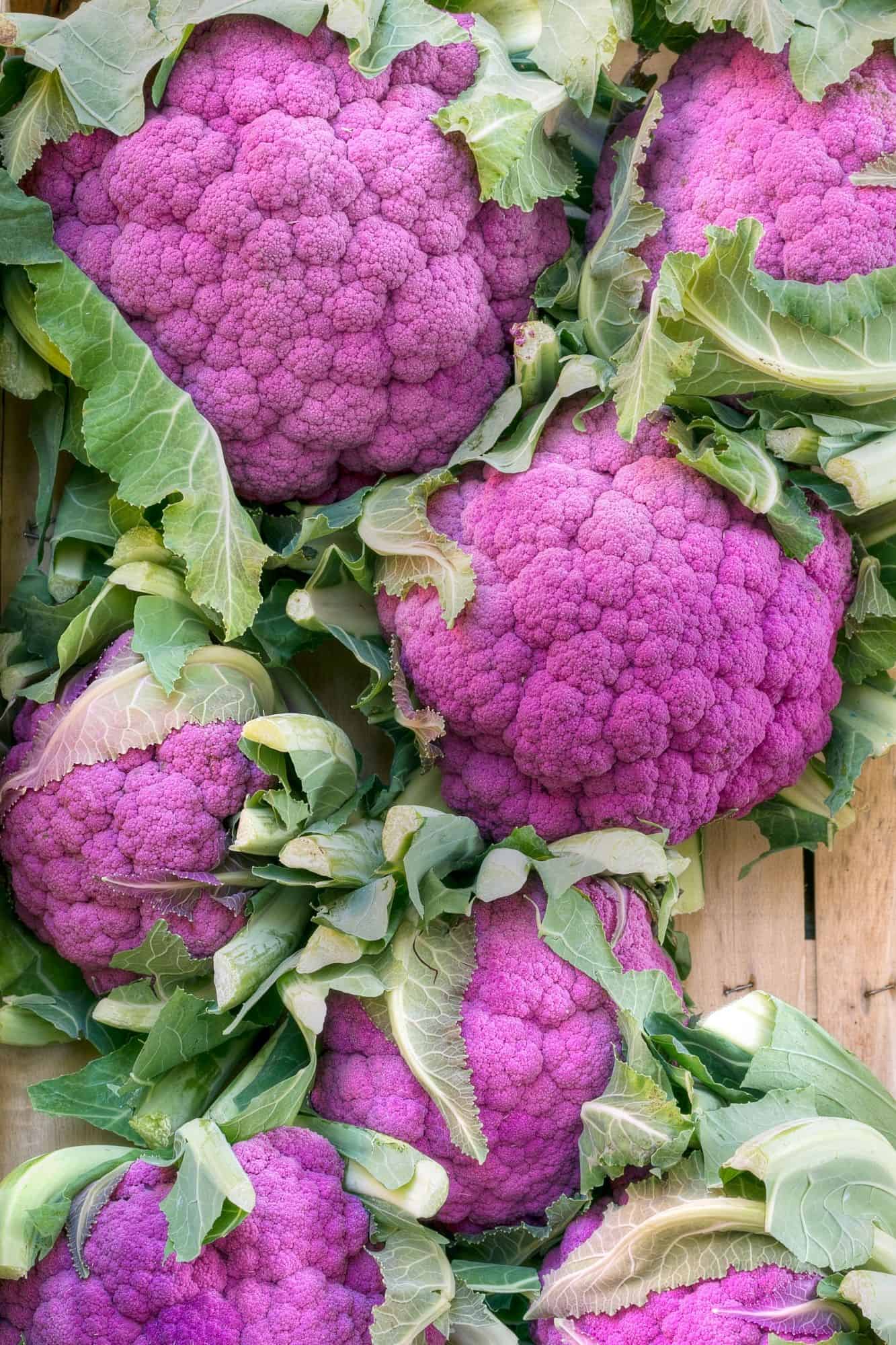 Best Cauliflower Companion Planting Tips and Tricks