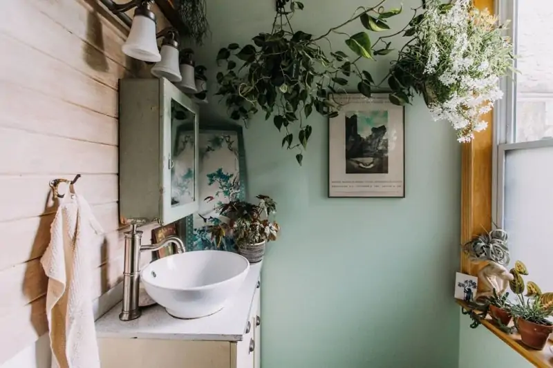 plants for bathroom ceilings