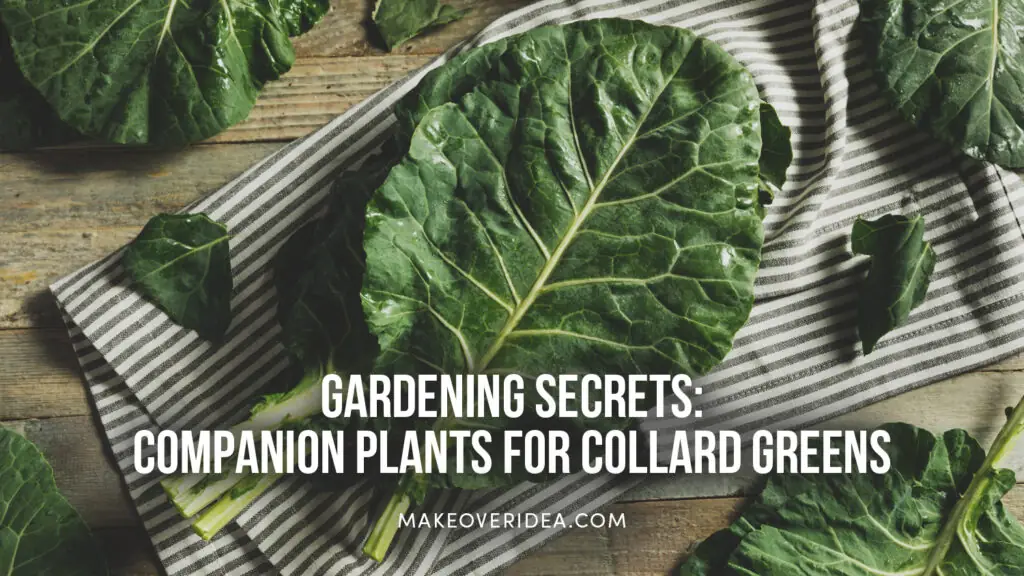 companion plants for collard greens