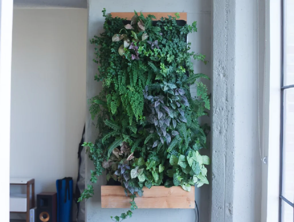 Plant Vertical Gardens