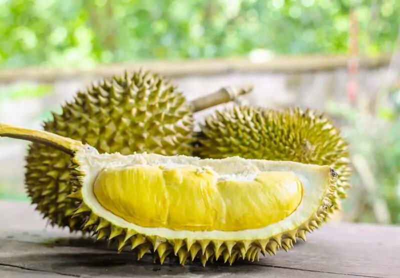 durian fruit