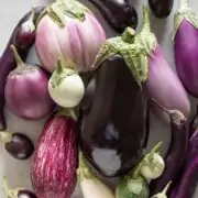 Eggplants How to Grow