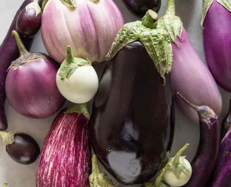 Eggplants How to Grow