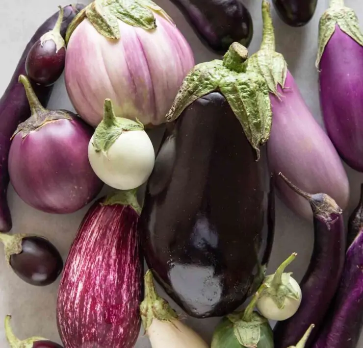 Eggplants How to Grow