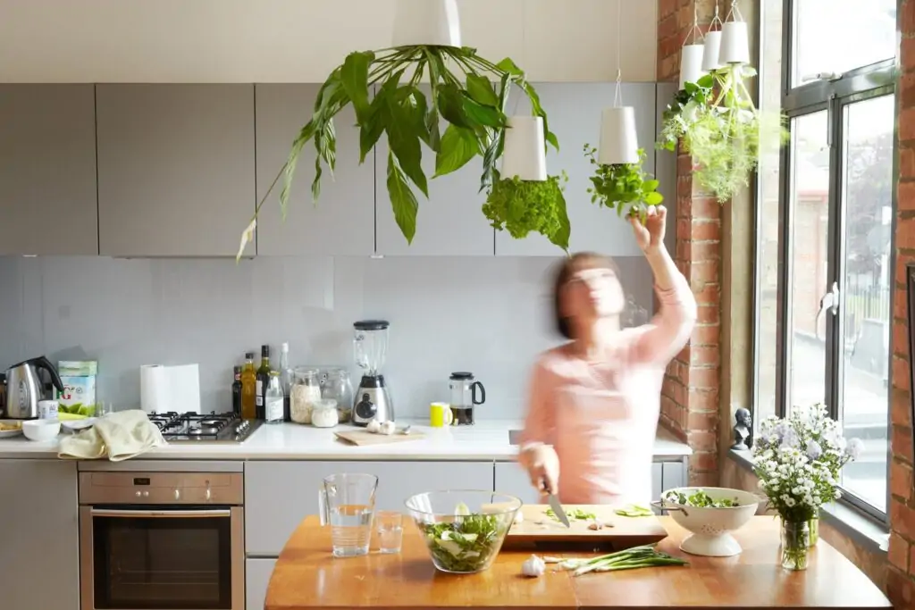 how to feng shui your kitchen