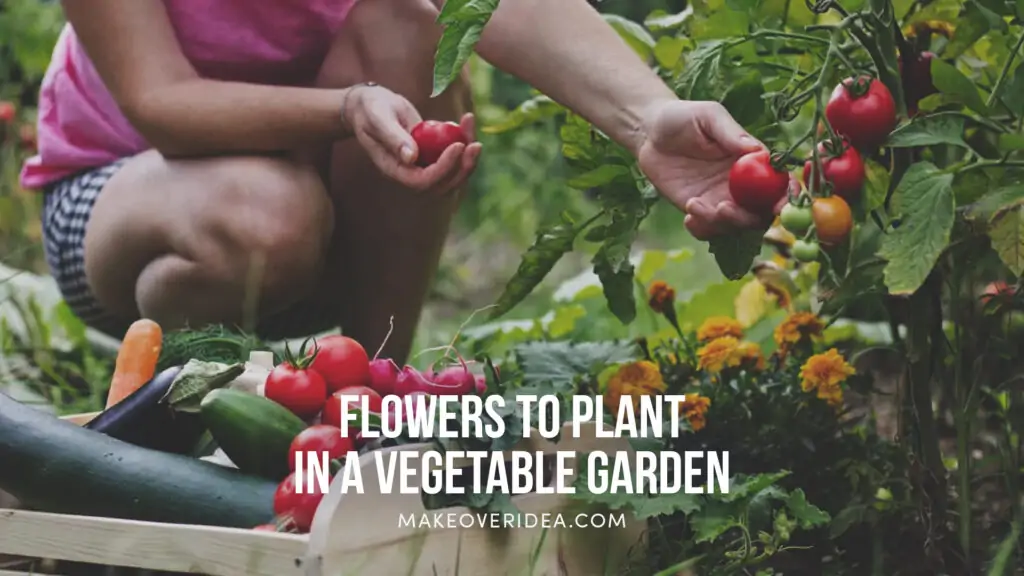 flowers to plant in vegetable garden