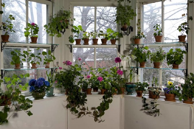 window garden display