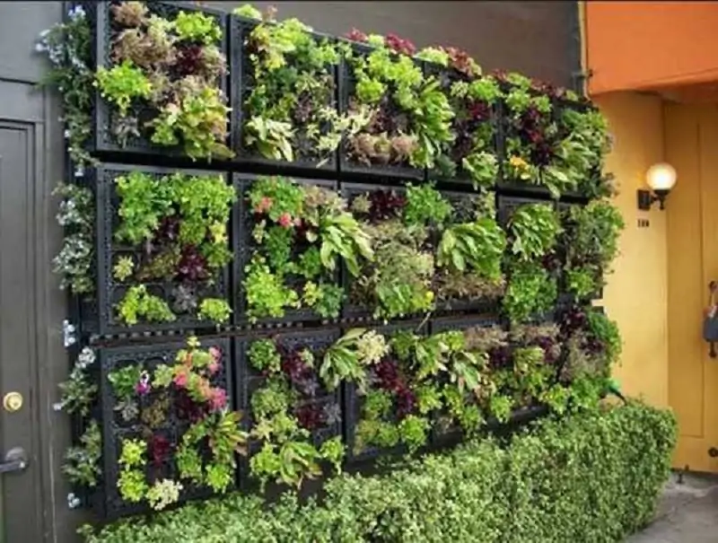 vertical gardening ideas