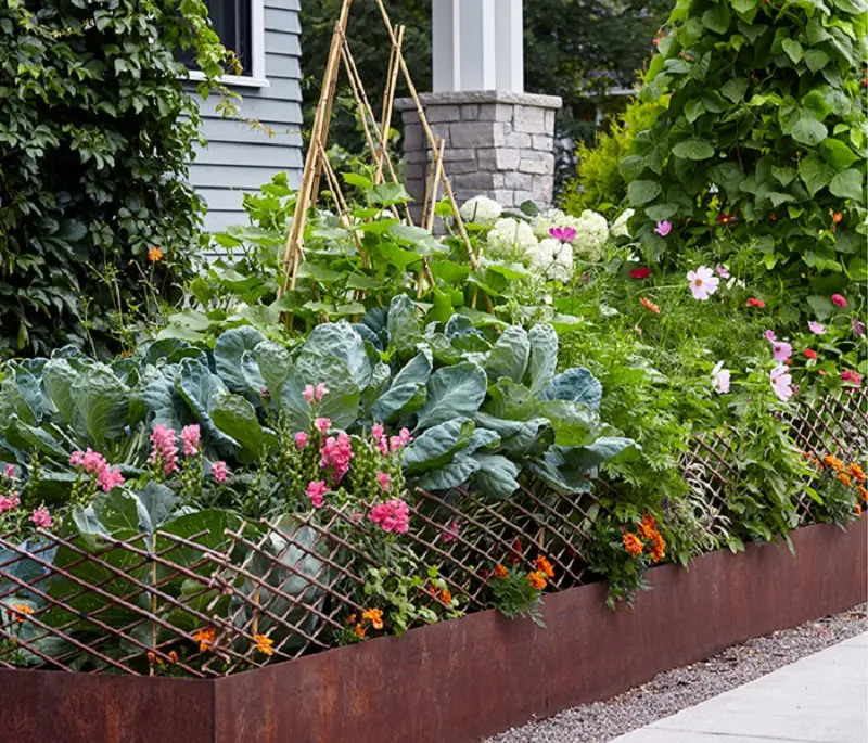 raised bed gardens