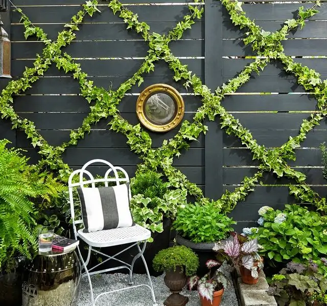 Gardening Ideas for a Small Space