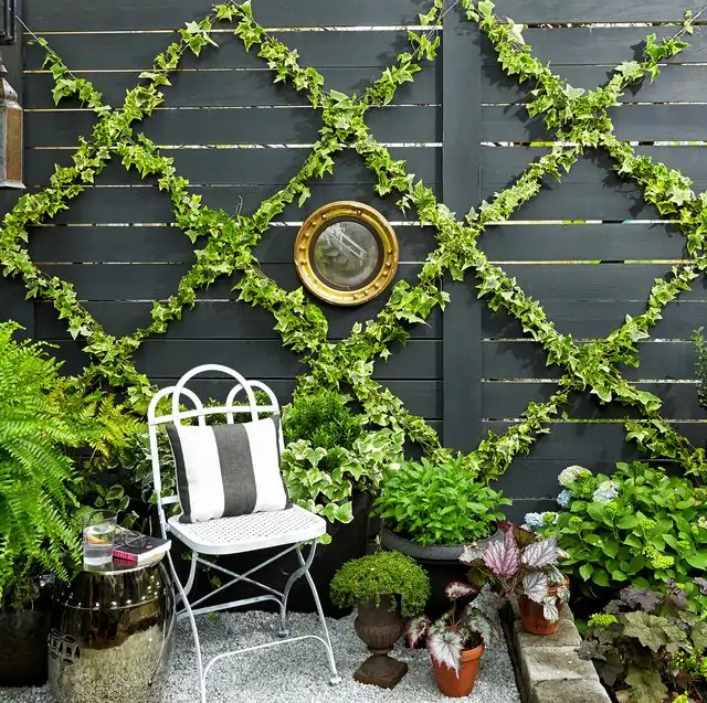 Gardening Ideas for a Small Space