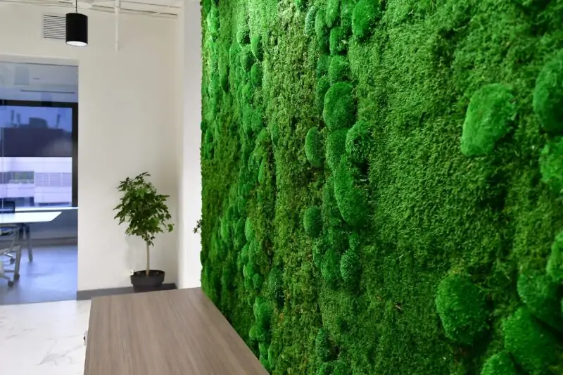 moss wall