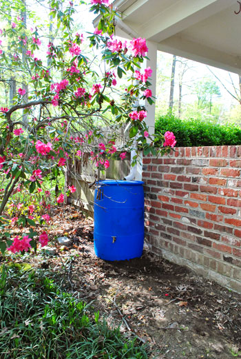 gutter drain ideas rain barrel