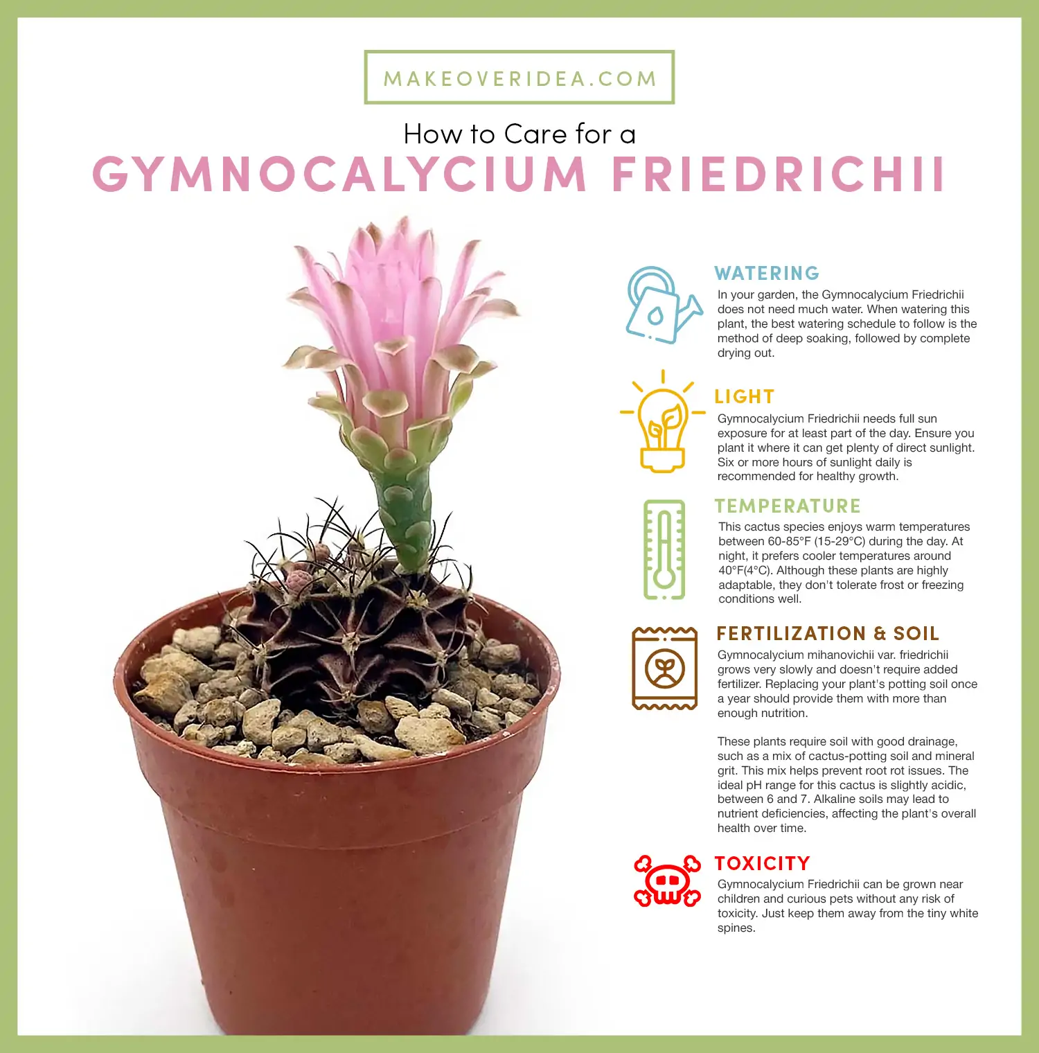 how to care for Gymnocalycium Friedrichii requirements chart