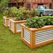 garden bed