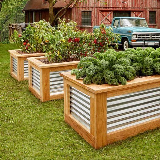 garden bed