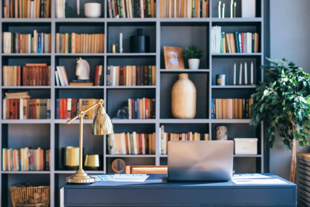 bookshelf with books