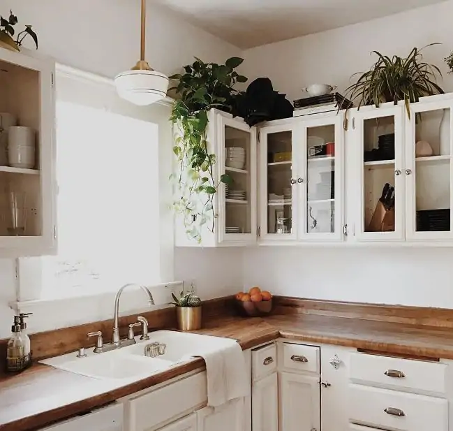 potted plants on the top of white kitchen