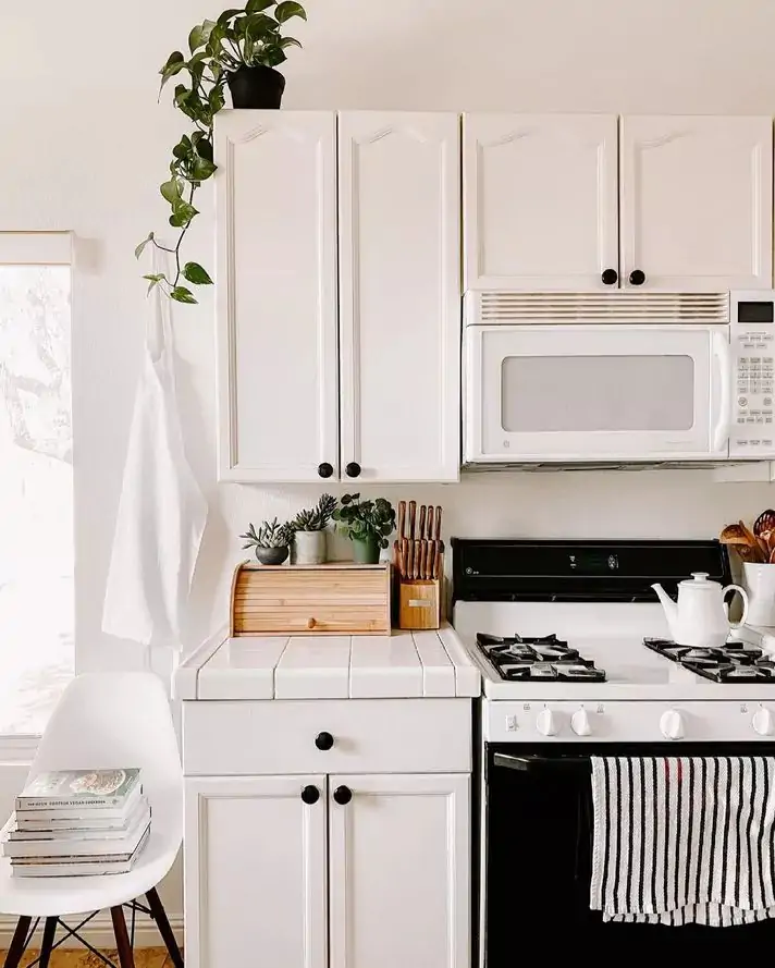 pottered ampelous plant on the top of white kitchen