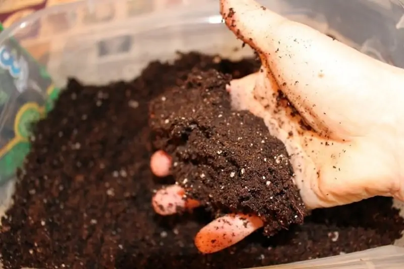 mix the soil to plant basil seed indoors