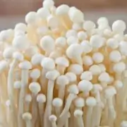 Enoki Mushroom