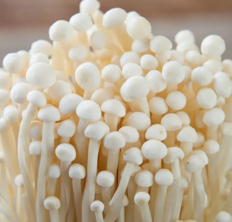 Enoki Mushroom