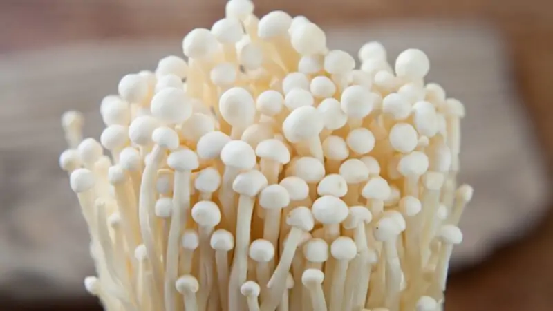 Enoki Mushroom