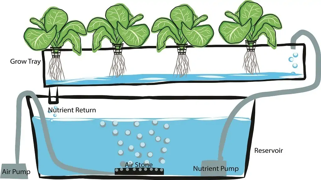 how hydroponic works