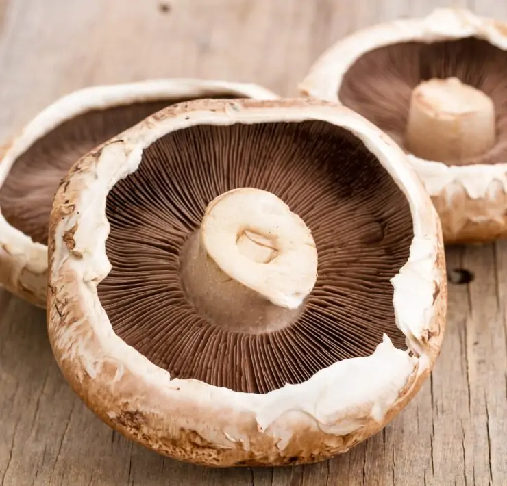 portabello mushrooms