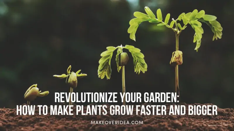 how to make plants grow faster and bigger