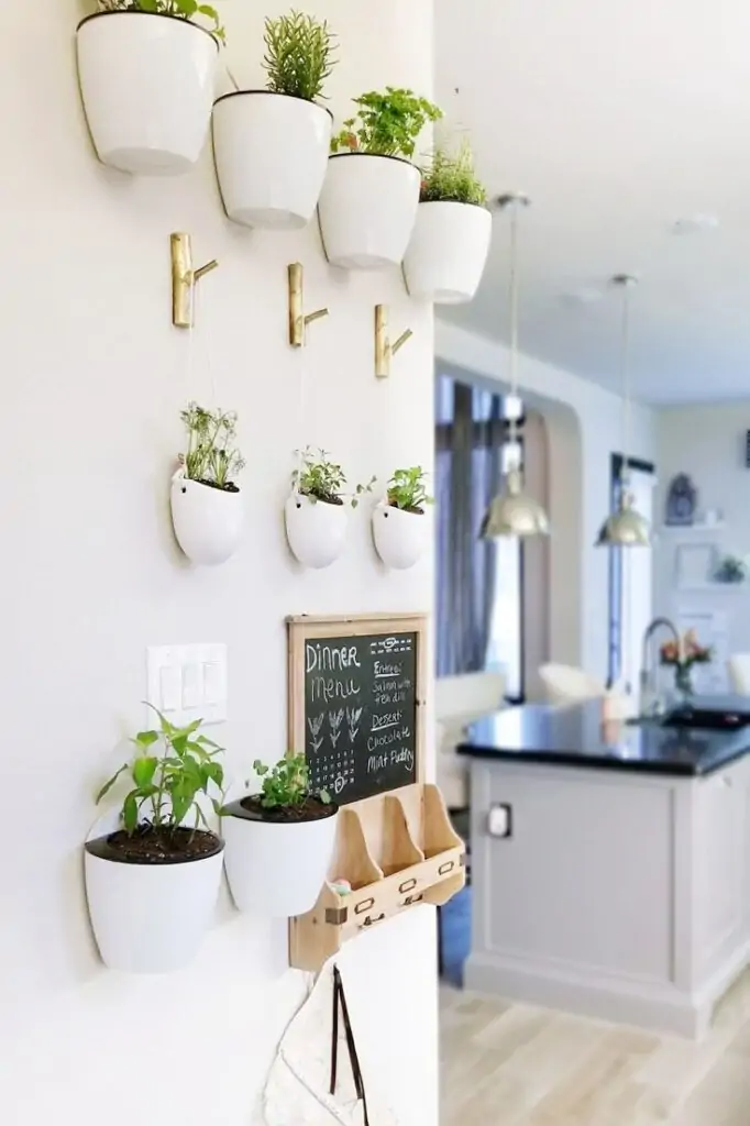 Hanging Planters