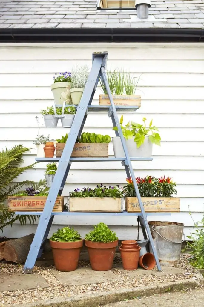 diy ladder