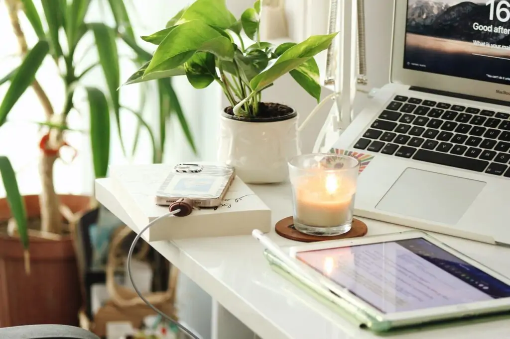 home office desk plants