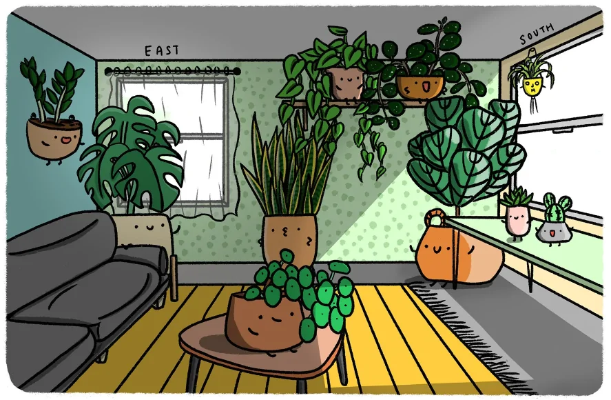 lighting for indoor plants