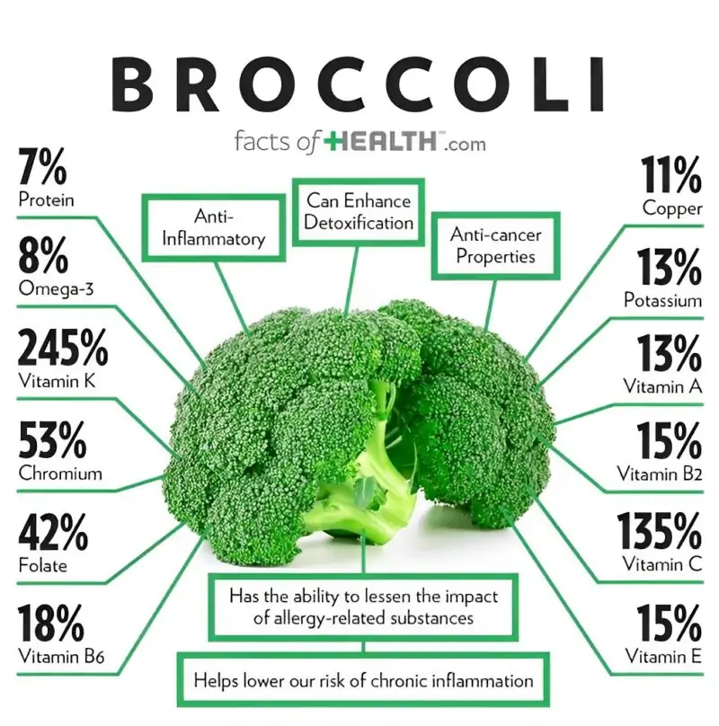 broccoli nutrition facts