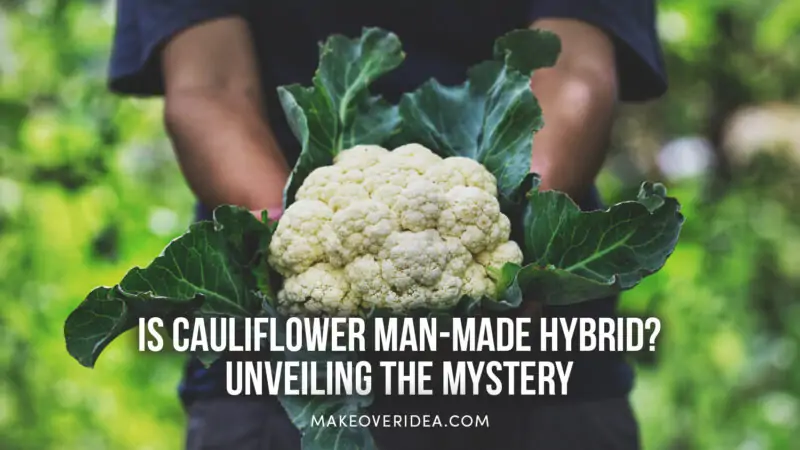 is cauliflower man made