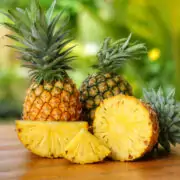 is pineapple a fruit or vegetable