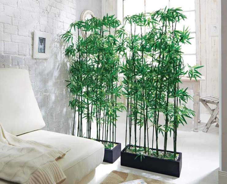 japanese house plants