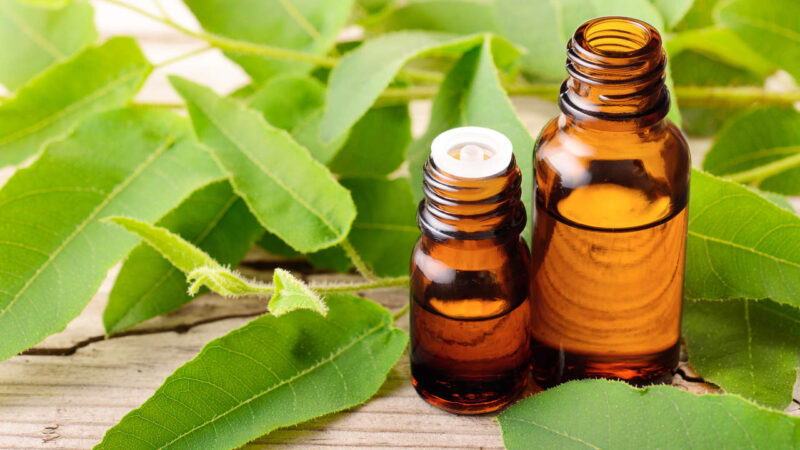 Alternatives to Neem Oil